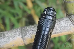 瑞凡菲尼克斯在美国红吗